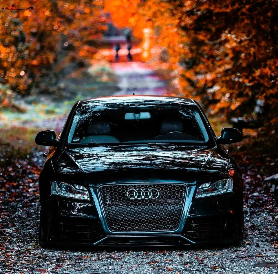 Audi RS5 Style A5 Front Honeycomb Mesh Grill 2008-2012 Gloss Black