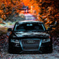 Audi RS5 Style A5 Front Honeycomb Mesh Grill 2008-2012 Gloss Black