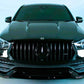 Mercedes GLE W167 Panamericana GT GTR Grill 2019-2024 Gloss Black